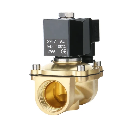 ZS Waterproof Overmolded Brass Diaphragm Solenoid Valve For Water best